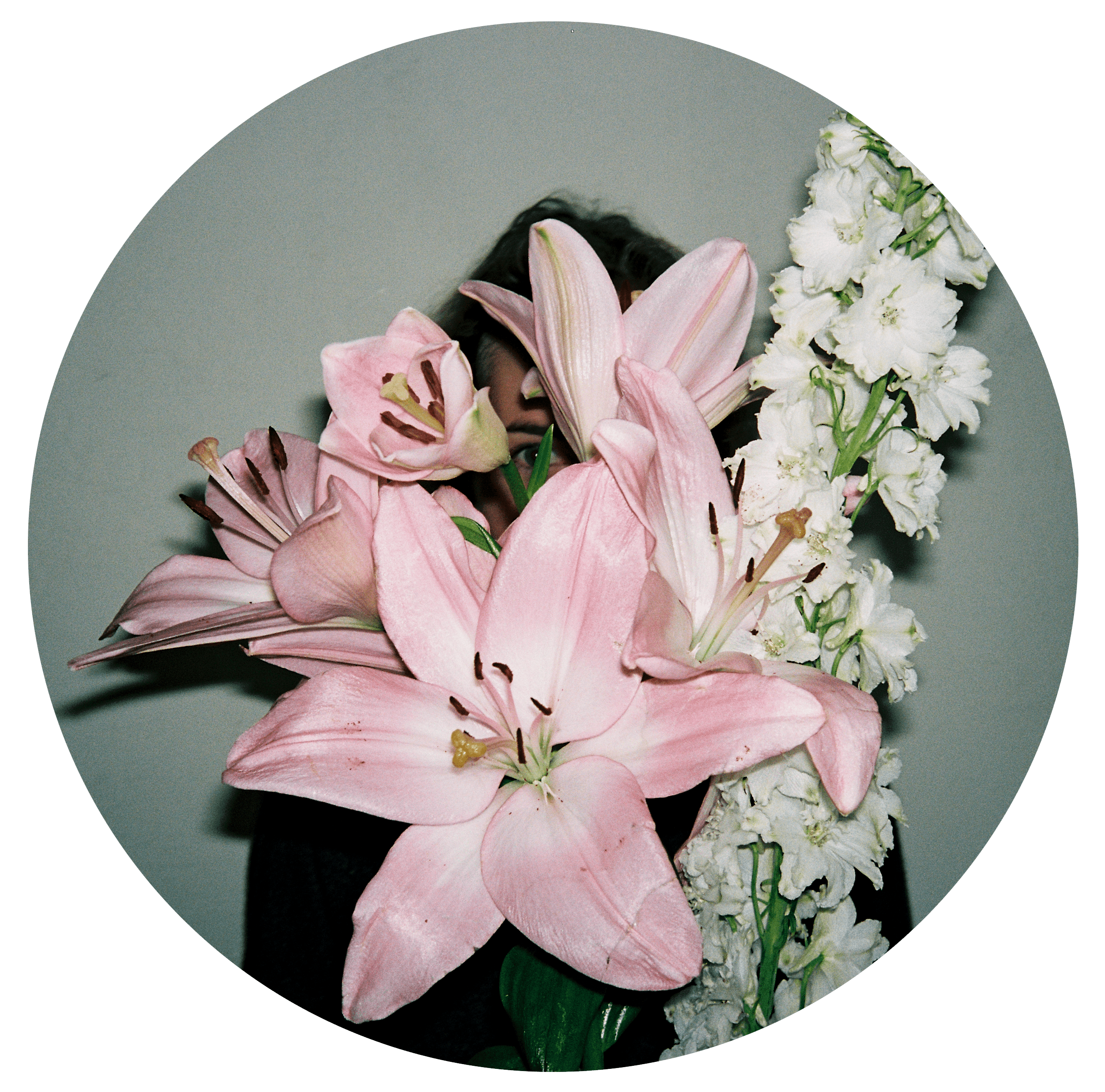 A person obscured by large pink and white flowers