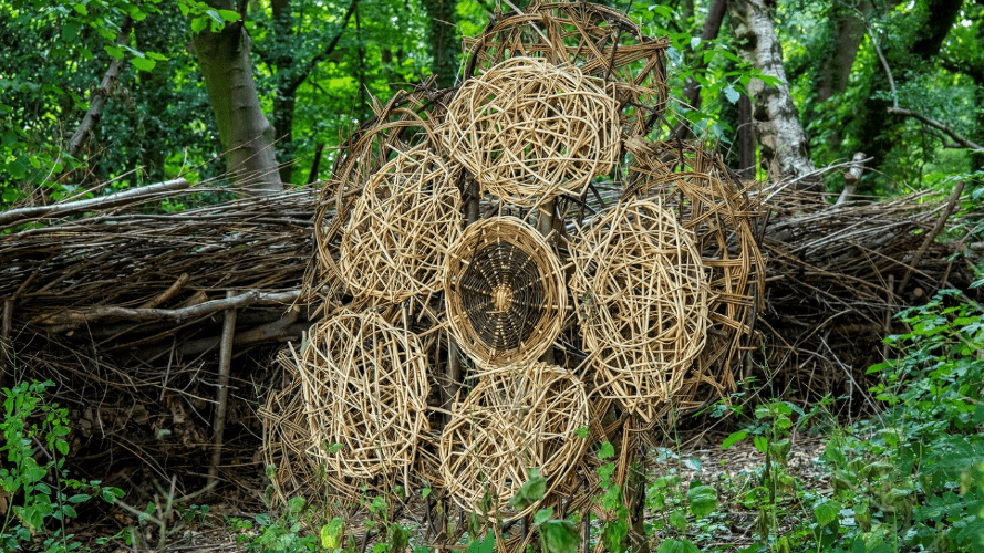 Kyte Photography – willow weaved public art used on our site created by Maggie Cooper.