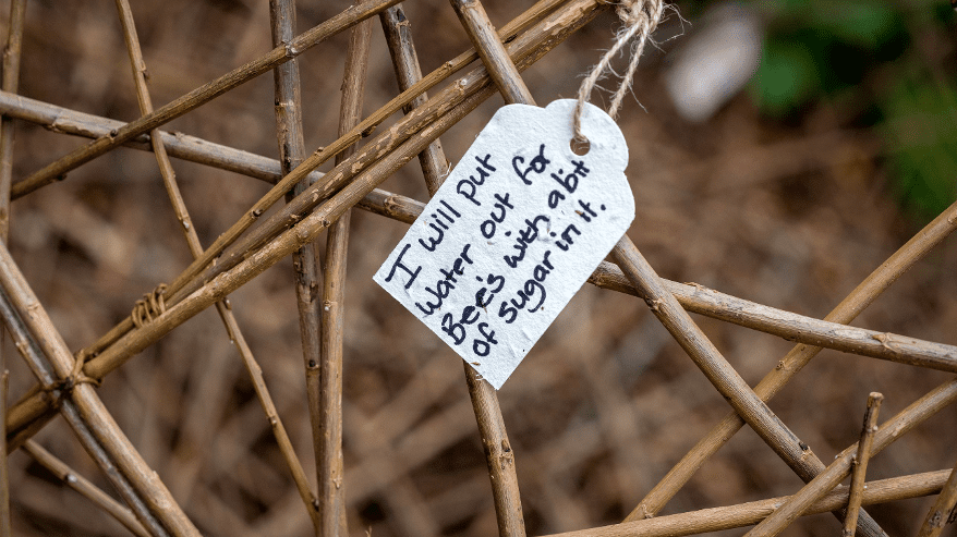 Kyte Photography – Earth Day pledge attached to a willow earth sculpture – the pledges were on plant-able seed cards, planted round the country park.