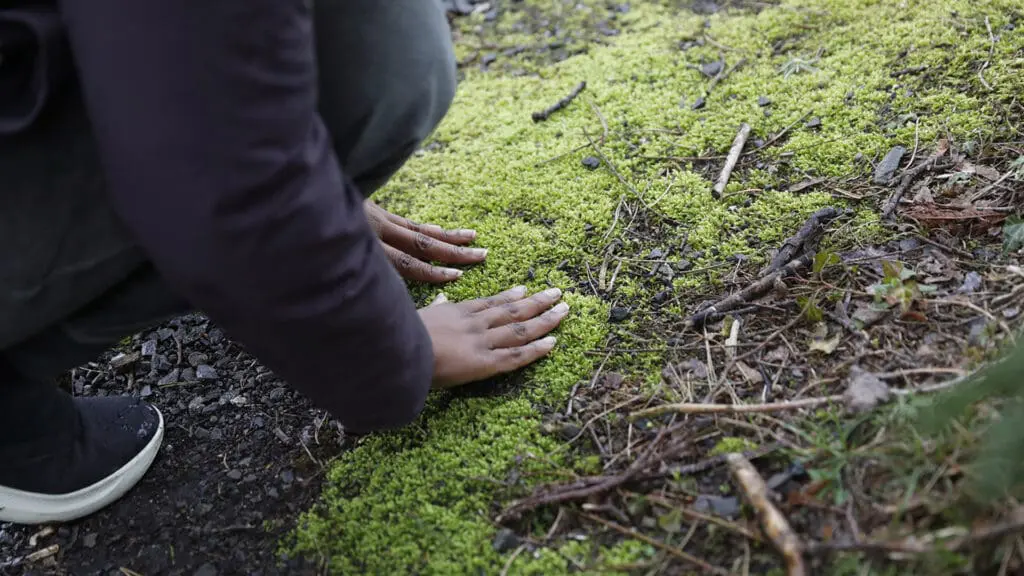 hands on moss