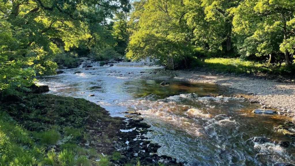 A river running through a woodland.
