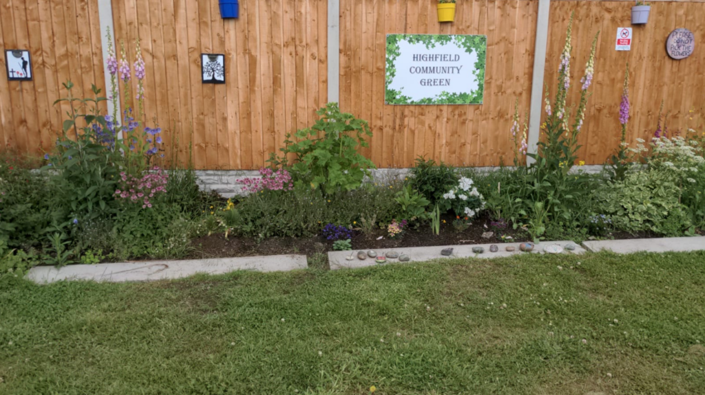 A border in the Highfield Community garden