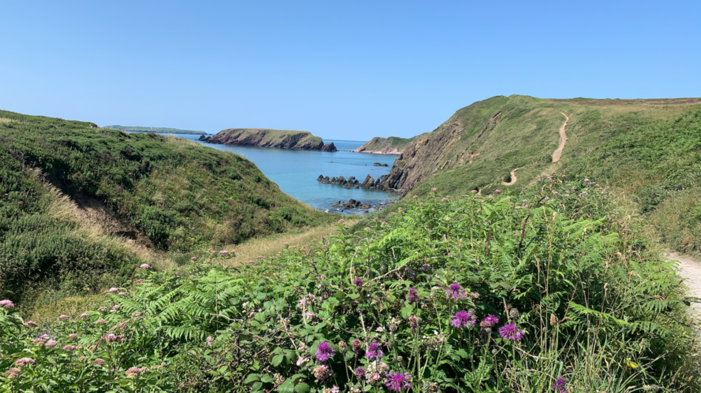 A rugged Welsh coastline in the sunshine.