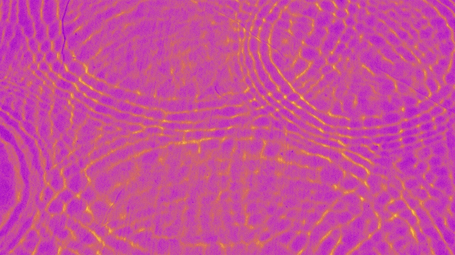 Home Julie S Bicycle Culture Climate Non Profit