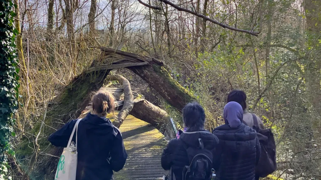 Nature walk at Boggart Hole