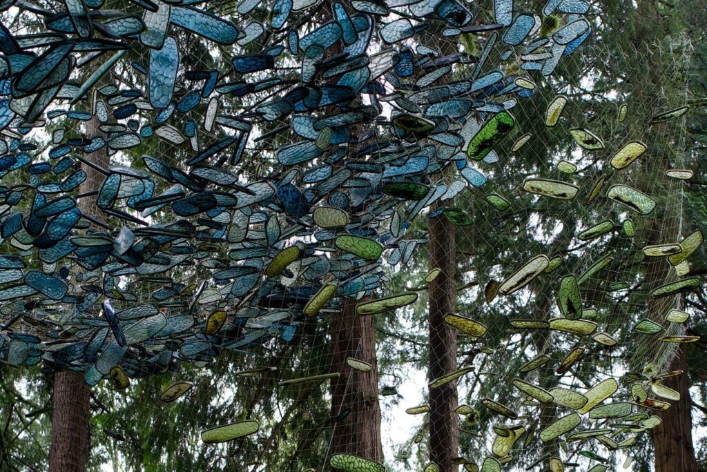 A suspended artwork in the tree